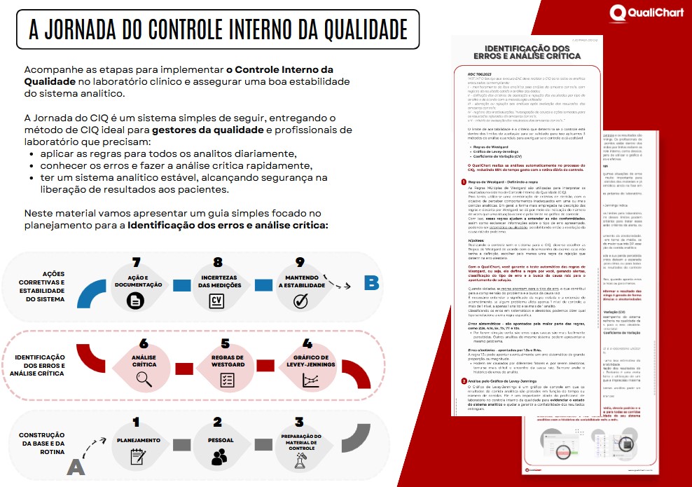 Guia - Identificando os Erros e Análise Crítica